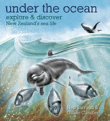 Under the Ocean Explore & Discover New Zealand's Sea Life - City Books & Lotto