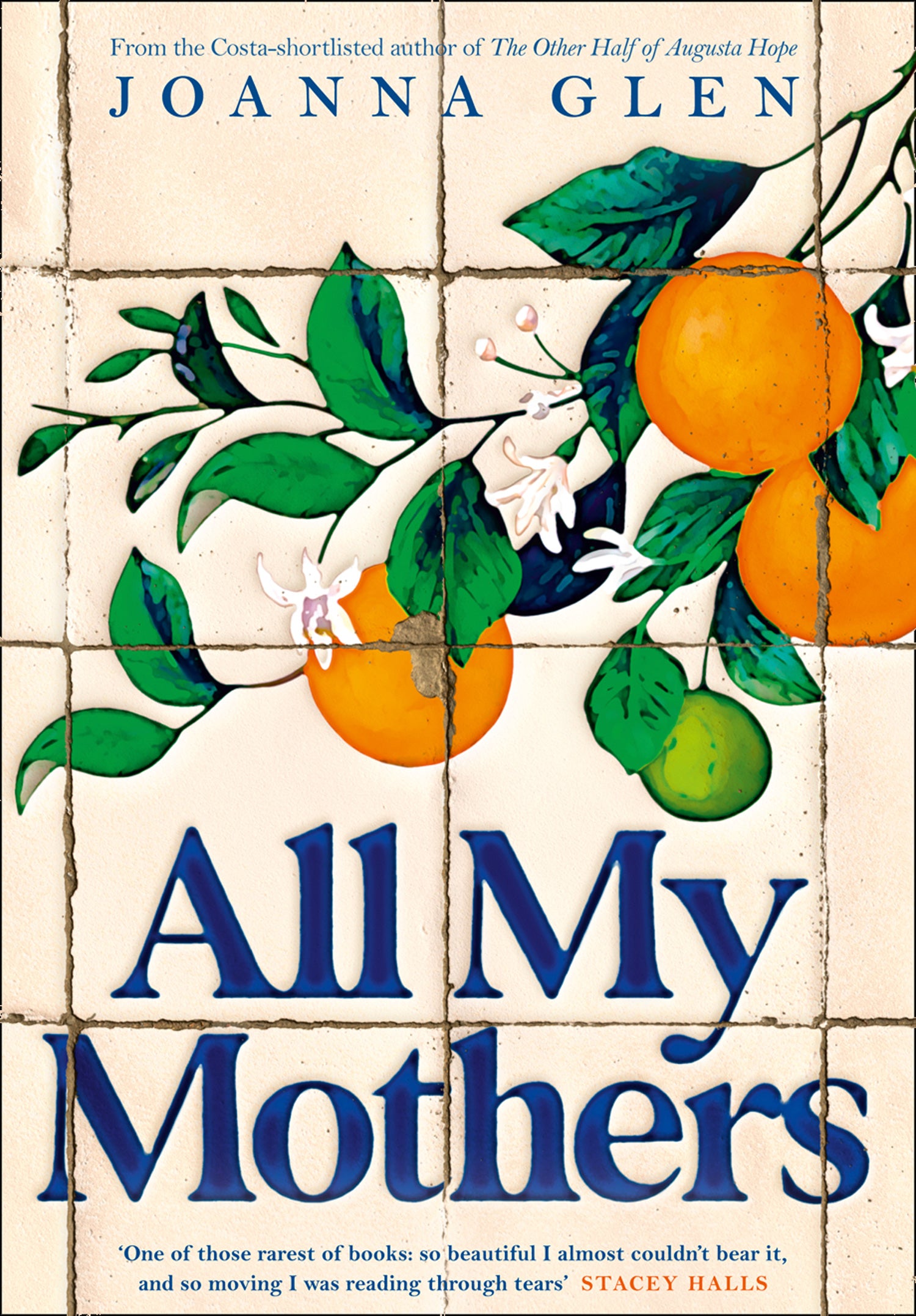 All My Mothers by Joanna Glen - City Books & Lotto