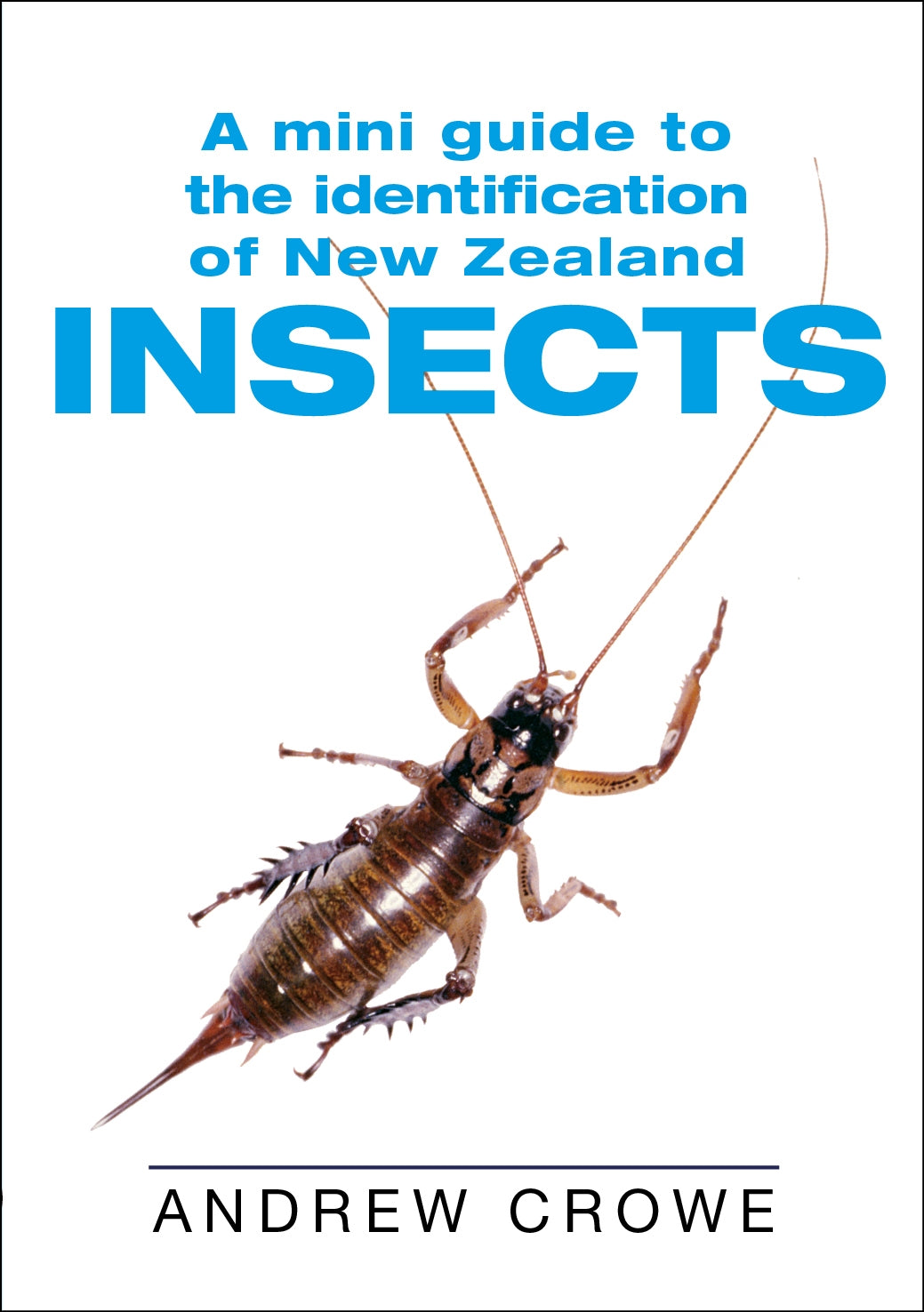 A Mini Guide to the Identification of New Zealand Insects by Andrew Crowe - City Books & Lotto