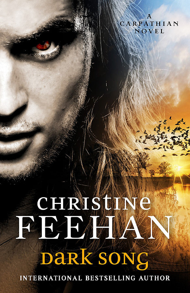 Dark Song by Christine Feehan - City Books & Lotto