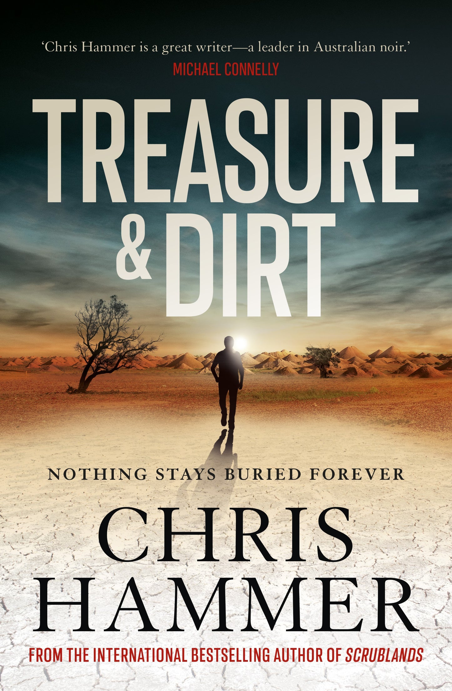 Treasure and Dirt by Chris Hammer - City Books & Lotto