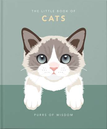LITTLE BOOK OF CATS: Purrs of Wisdom - City Books & Lotto