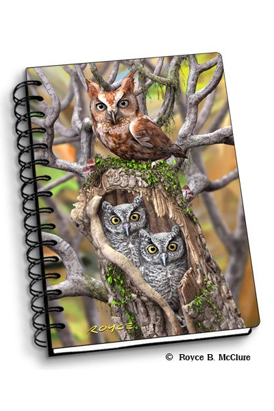 NOTEBOOK ARTGAME OWLS - City Books & Lotto