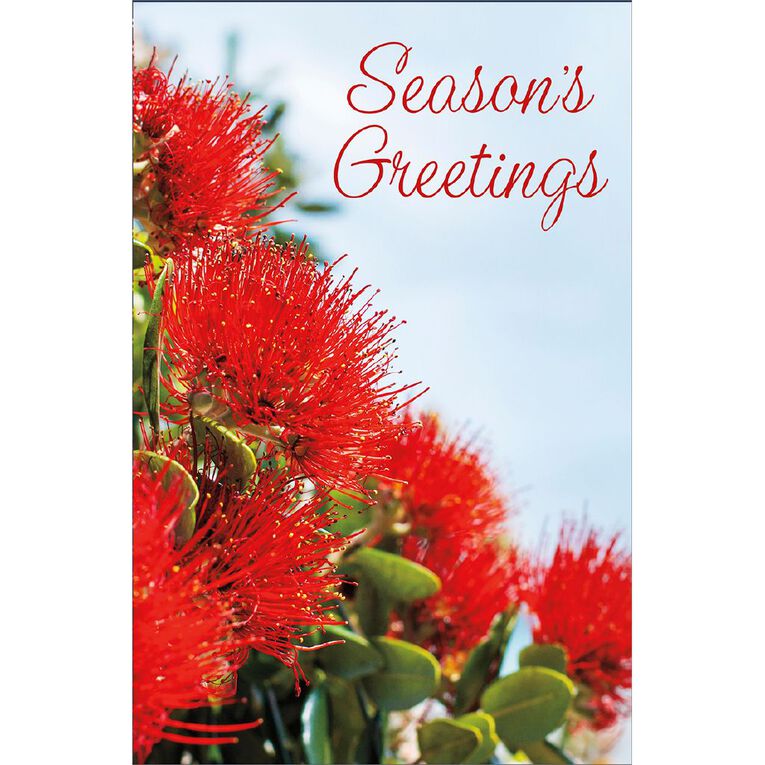 Xmas Cards $5.99 Single NZ Themed